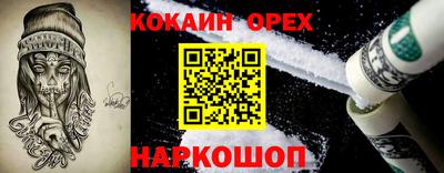 мдпв Гатчина
