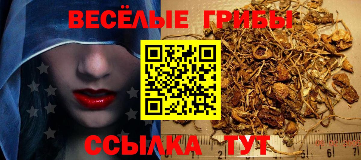Галлюциногенные грибы Psilocybe  Вход с VPN  Пугачёв 