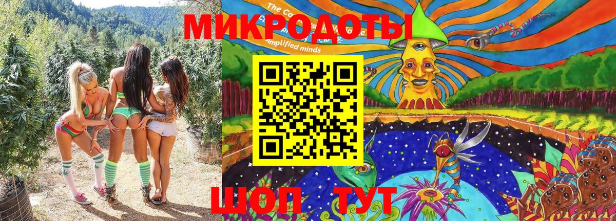 Галлюциногенные грибы Cubensis Пугачёв